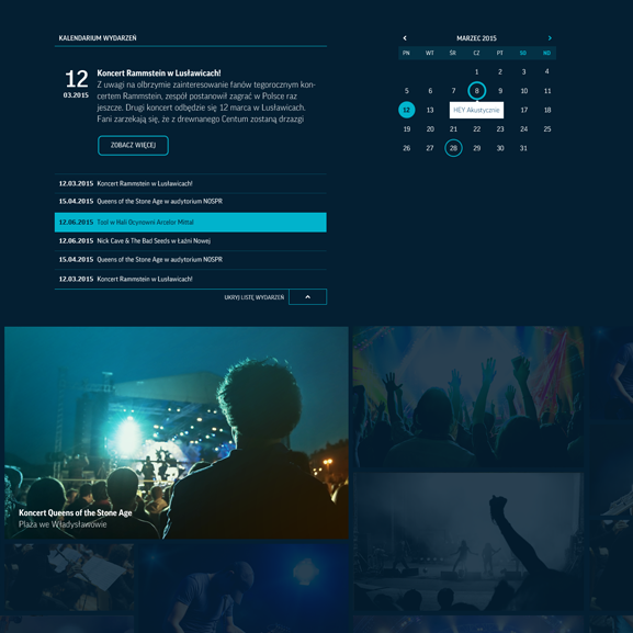 Rok Muzyki website & online campaign